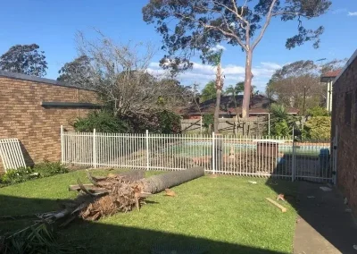 St George pool fence
